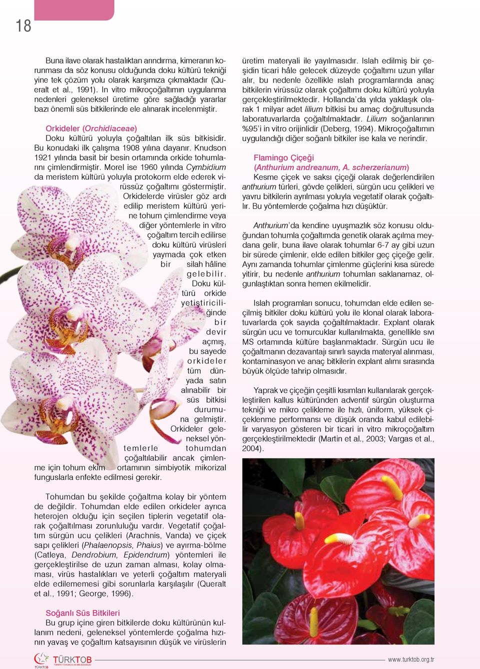 Orkideler (Orchidiaceae) Doku kültürü yoluyla çoğaltılan ilk süs bitkisidir. Bu konudaki ilk çalışma 1908 yılına dayanır.