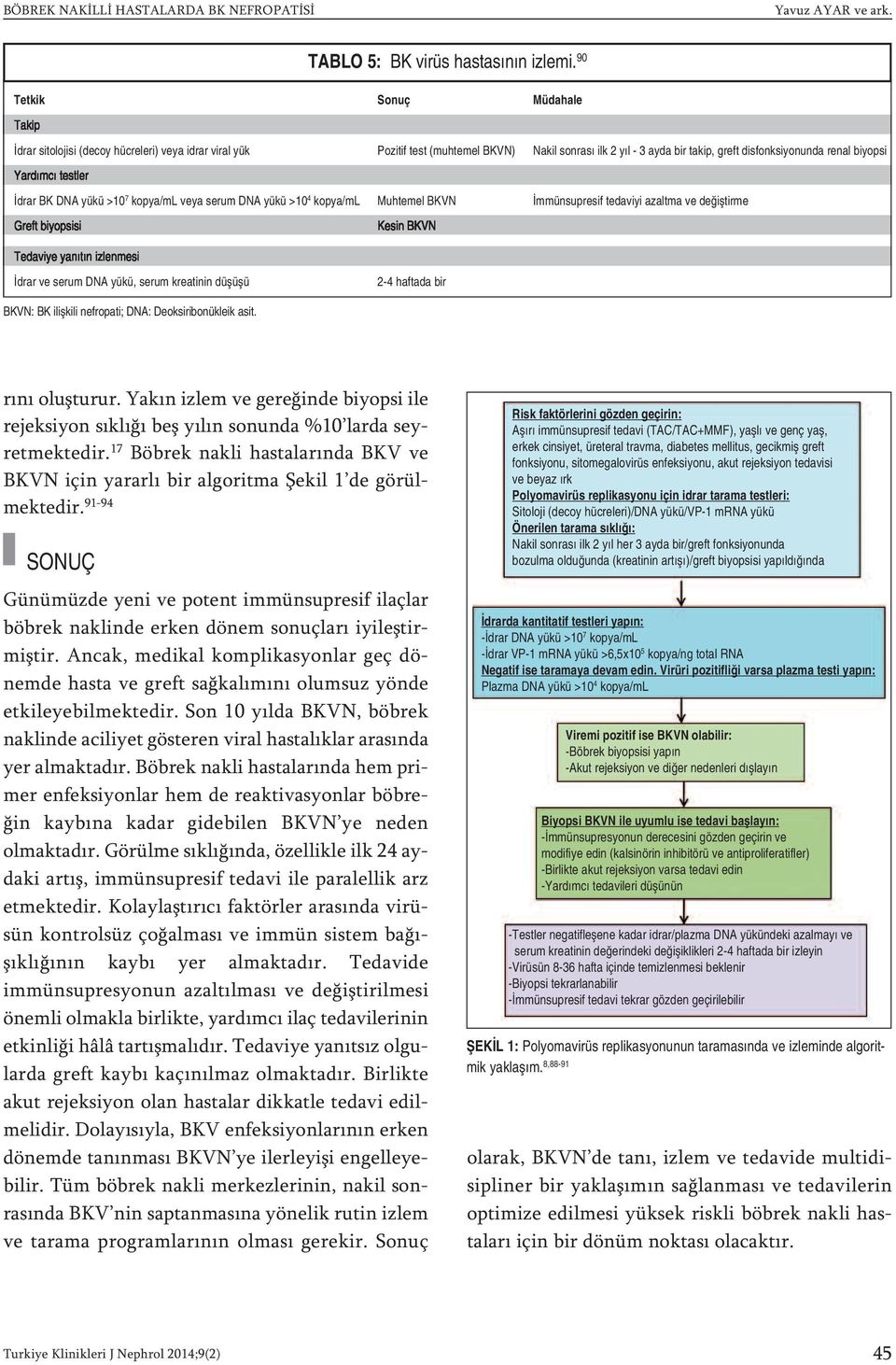 Yardımcı testler İdrar BK DNA yükü >10 7 kopya/ml veya serum DNA yükü >10 4 kopya/ml Muhtemel BKVN İmmünsupresif tedaviyi azaltma ve değiştirme Greft biyopsisi Kesin BKVN Tedaviye yanıtın izlenmesi