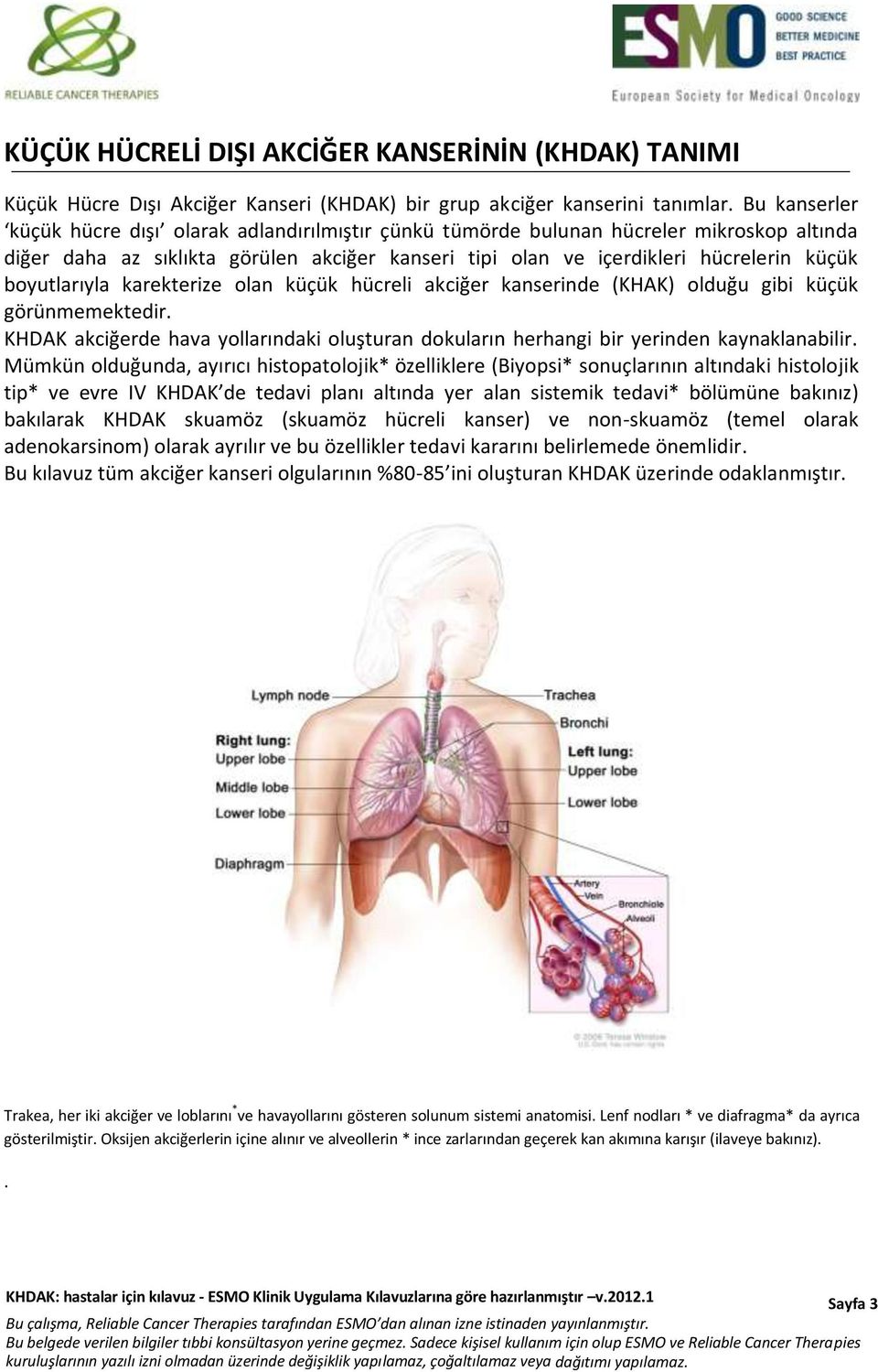 boyutlarıyla karekterize olan küçük hücreli akciğer kanserinde (KHAK) olduğu gibi küçük görünmemektedir. KHDAK akciğerde hava yollarındaki oluşturan dokuların herhangi bir yerinden kaynaklanabilir.