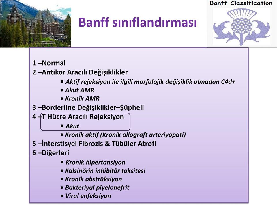 Rejeksiyon Akut Kronik aktif (Kronik allograft arteriyopati) 5 İnterstisyel Fibrozis & Tübüler Atrofi 6