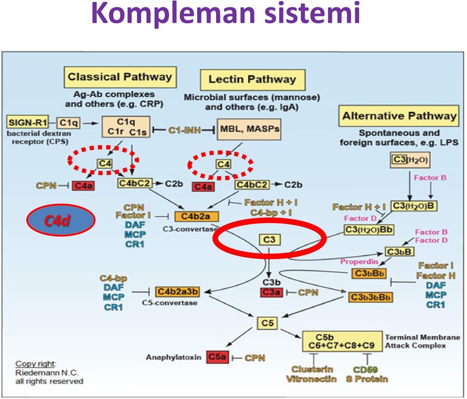 sistemi