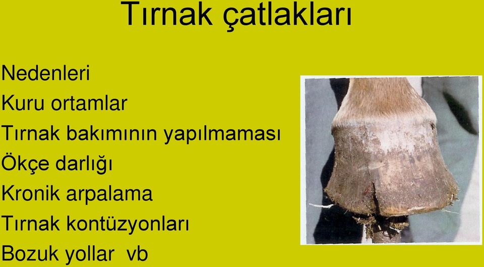 yapılmaması Ökçe darlığı Kronik