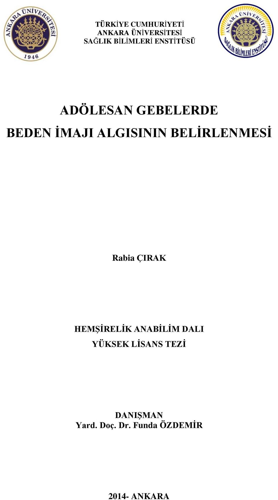 BELİRLENMESİ Rabia ÇIRAK HEMŞİRELİK ANABİLİM DALI YÜKSEK