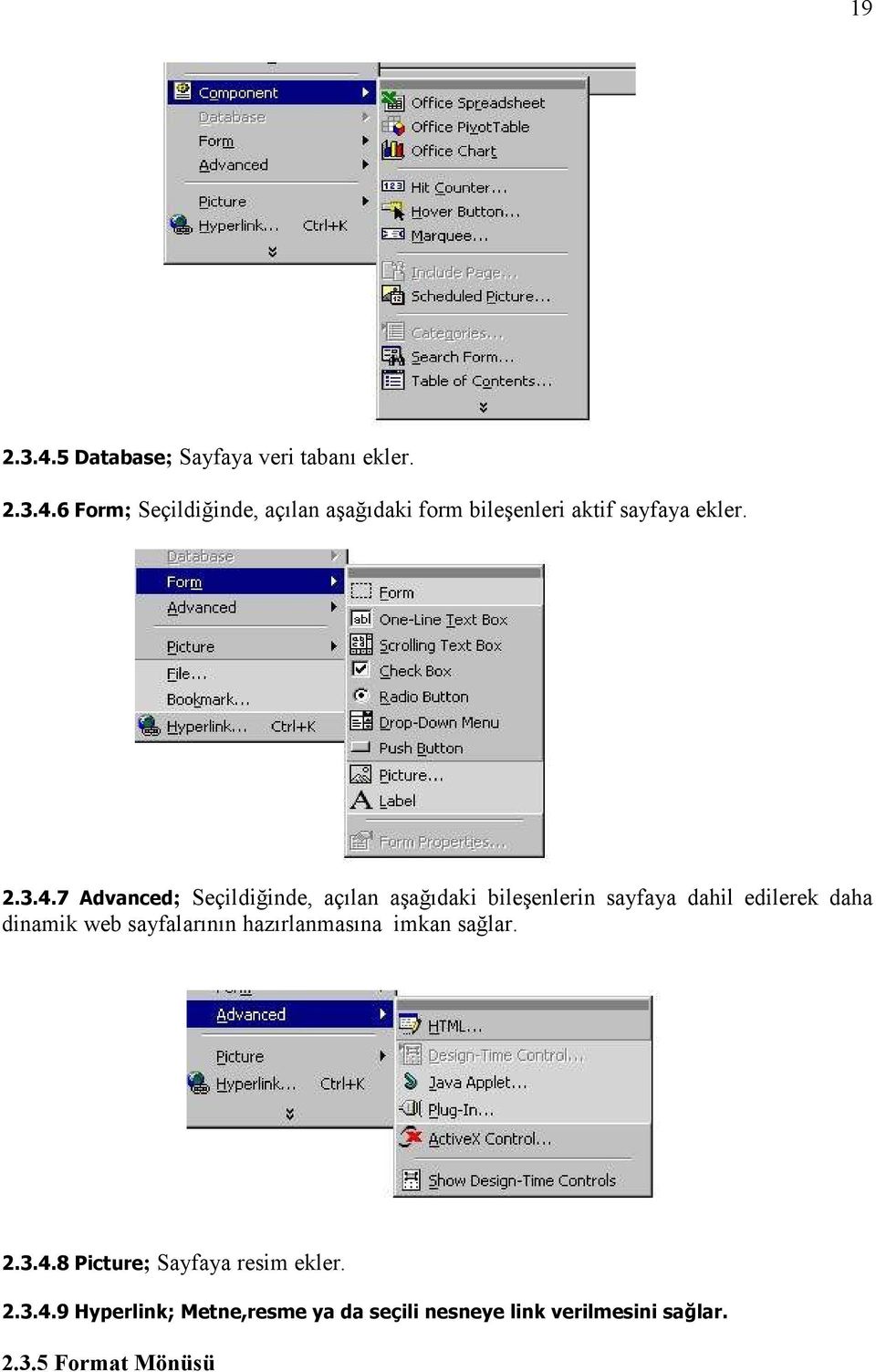 7 Advanced; Seçildiğinde, açılan aşağıdaki bileşenlerin sayfaya dahil edilerek daha dinamik web