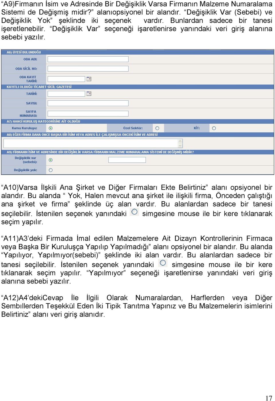 A10)Varsa İlşkili Ana Şirket ve Diğer Firmaları Ekte Belirtiniz alanı opsiyonel bir alandır.