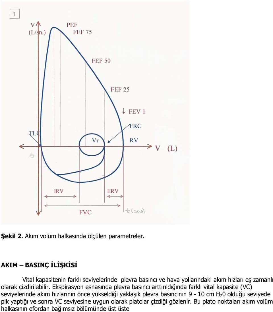 çizdirilebilir.