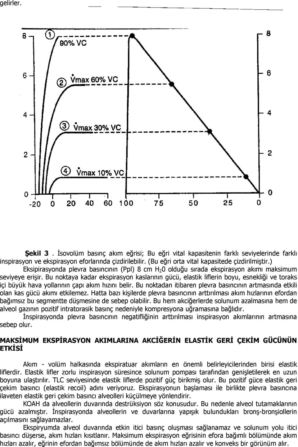 Bu noktaya kadar ekspirasyon kaslarının gücü, elastik liflerin boyu, esnekliği ve toraks içi büyük hava yollarının çapı akım hızını belir.