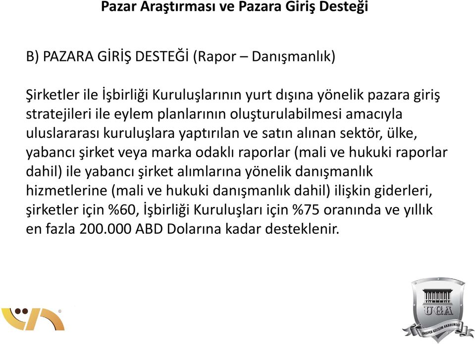 şirket veya marka odaklı raporlar (mali ve hukuki raporlar dahil) ile yabancı şirket alımlarına yönelik danışmanlık hizmetlerine (mali ve hukuki