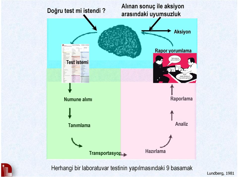 yorumlama Test istemi Numune alımı Raporlama Tanımlama