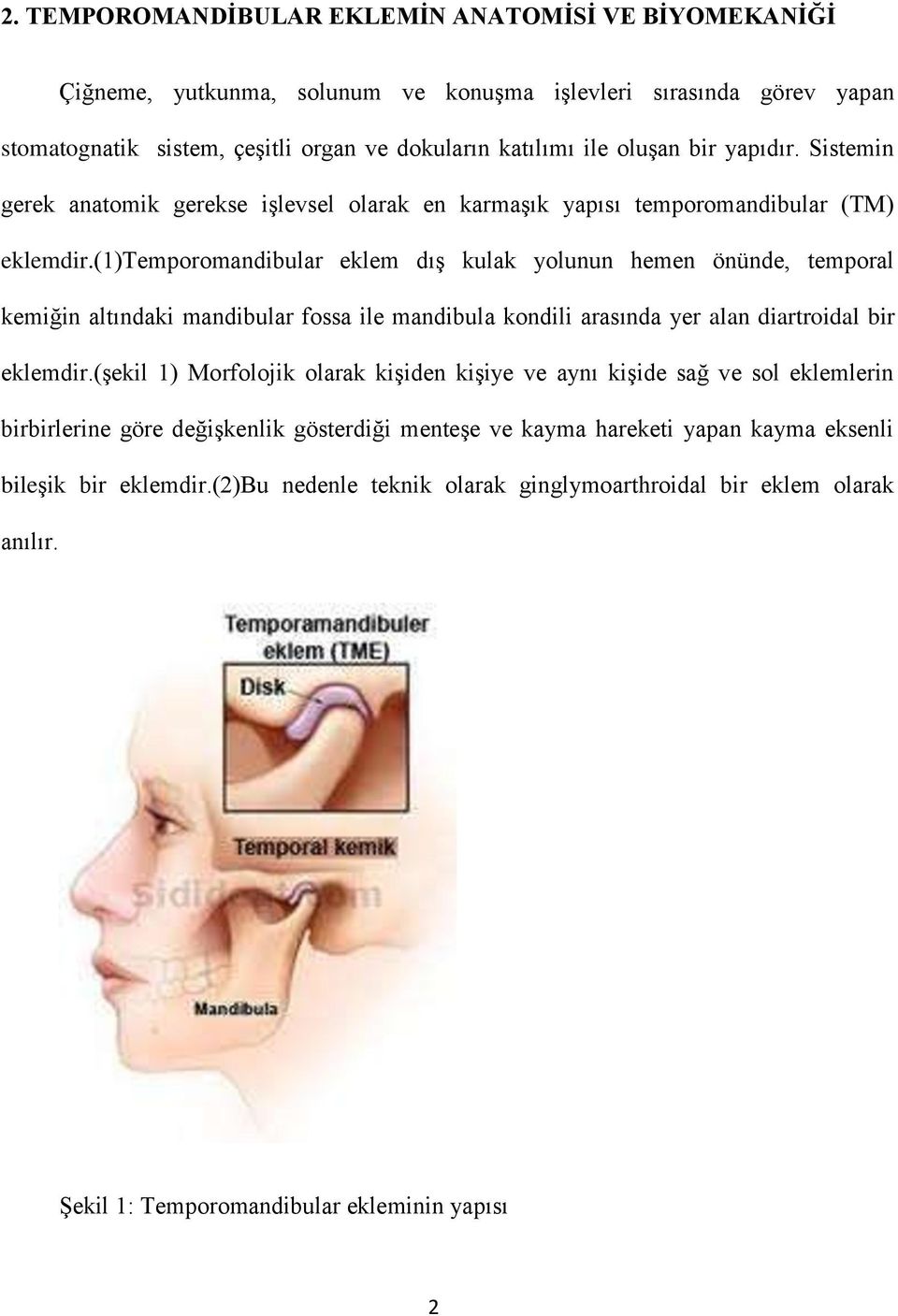 (1)temporomandibular eklem dış kulak yolunun hemen önünde, temporal kemiğin altındaki mandibular fossa ile mandibula kondili arasında yer alan diartroidal bir eklemdir.