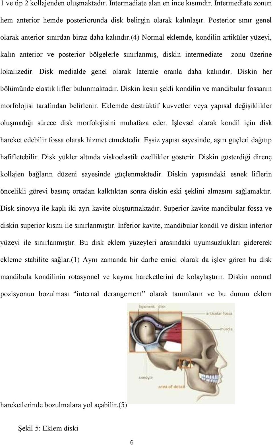 (4) Normal eklemde, kondilin artiküler yüzeyi, kalın anterior ve posterior bölgelerle sınırlanmış, diskin intermediate zonu üzerine lokalizedir.