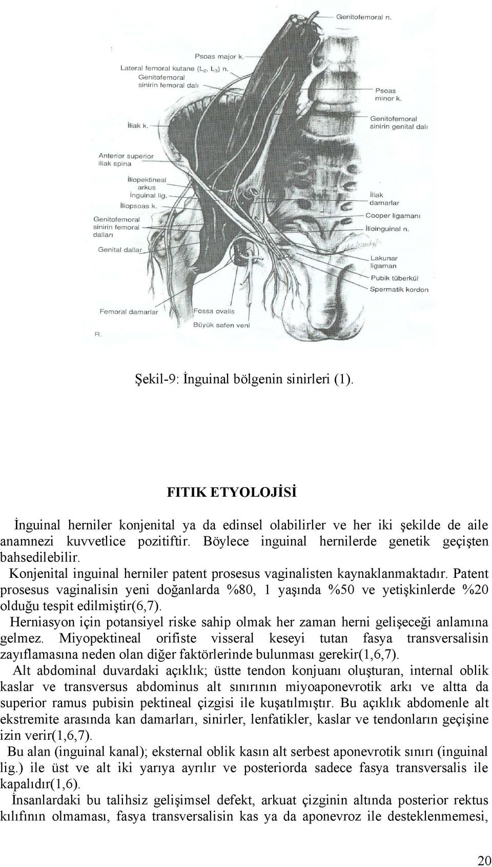 Patent prosesus vaginalisin yeni doğanlarda %80, 1 yaşında %50 ve yetişkinlerde %20 olduğu tespit edilmiştir(6,7).