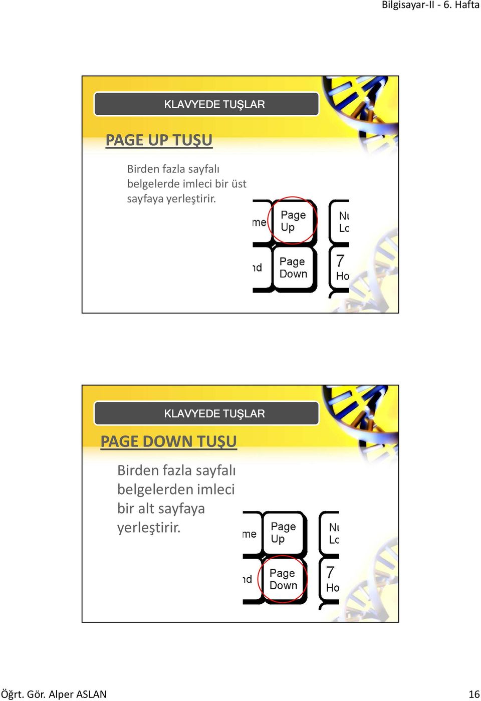 PAGE DOWN TUŞU Birden fazla sayfalı belgelerden