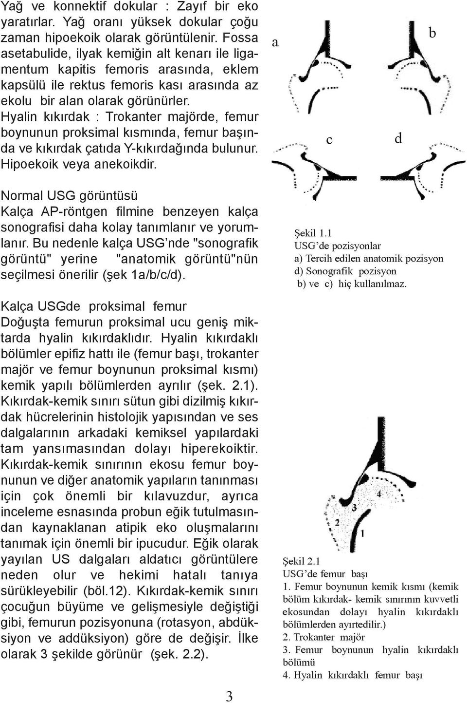 Hyalin kýkýrdak : Trokanter majörde, femur boynunun proksimal kýsmýnda, femur baþýnda ve kýkýrdak çatýda Y-kýkýrdaðýnda bulunur. Hipoekoik veya anekoikdir.