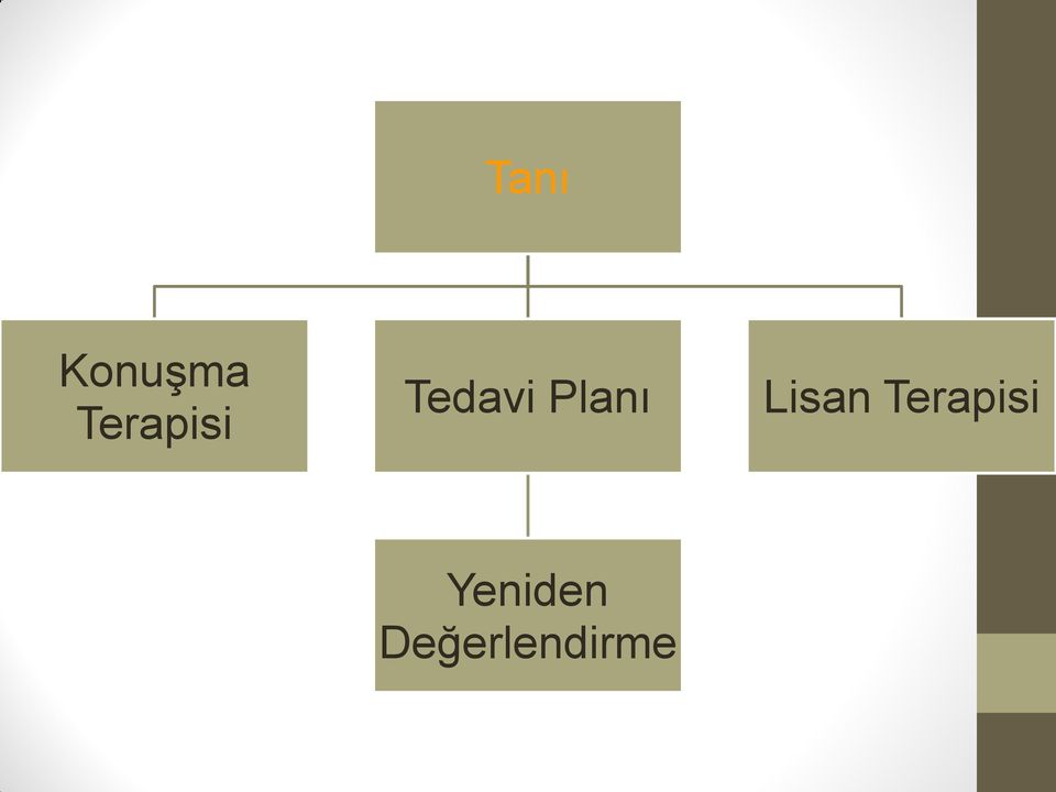 Planı Lisan