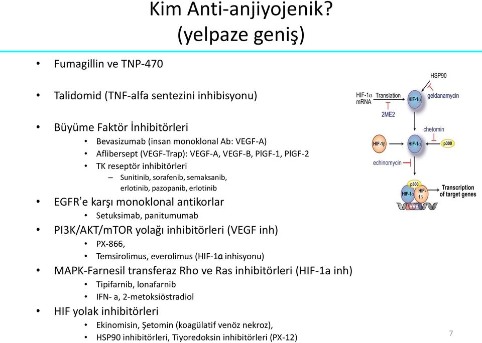 VEGF-A, VEGF-B, PlGF-1, PlGF-2 TK reseptör inhibitörleri Sunitinib, sorafenib, semaksanib, erlotinib, pazopanib, erlotinib EGFR e karşı monoklonal antikorlar Setuksimab,