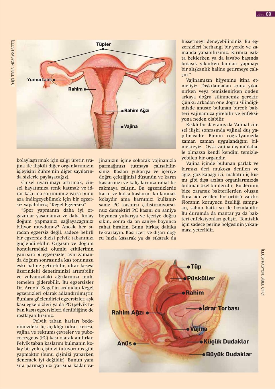 yaşamanızı ve daha kolay doğum yapmanızı sağlayacağınızı biliyor muydunuz? Ancak her sıradan egzersiz değil, sadece belirli bir egzersiz dizisi pelvik tabanınızı güçlendirebilir.