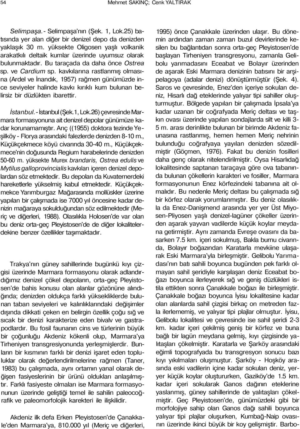 kavkılarına rastlanmış olmasına (Ardel ve İnandık, 1957) rağmen günümüzde ince seviyeler halinde kavkı kırıklı kum bulunan belirsiz bir düzlükten ibarettir. İstanbul.- İstanbul (Şek.1, Lok.