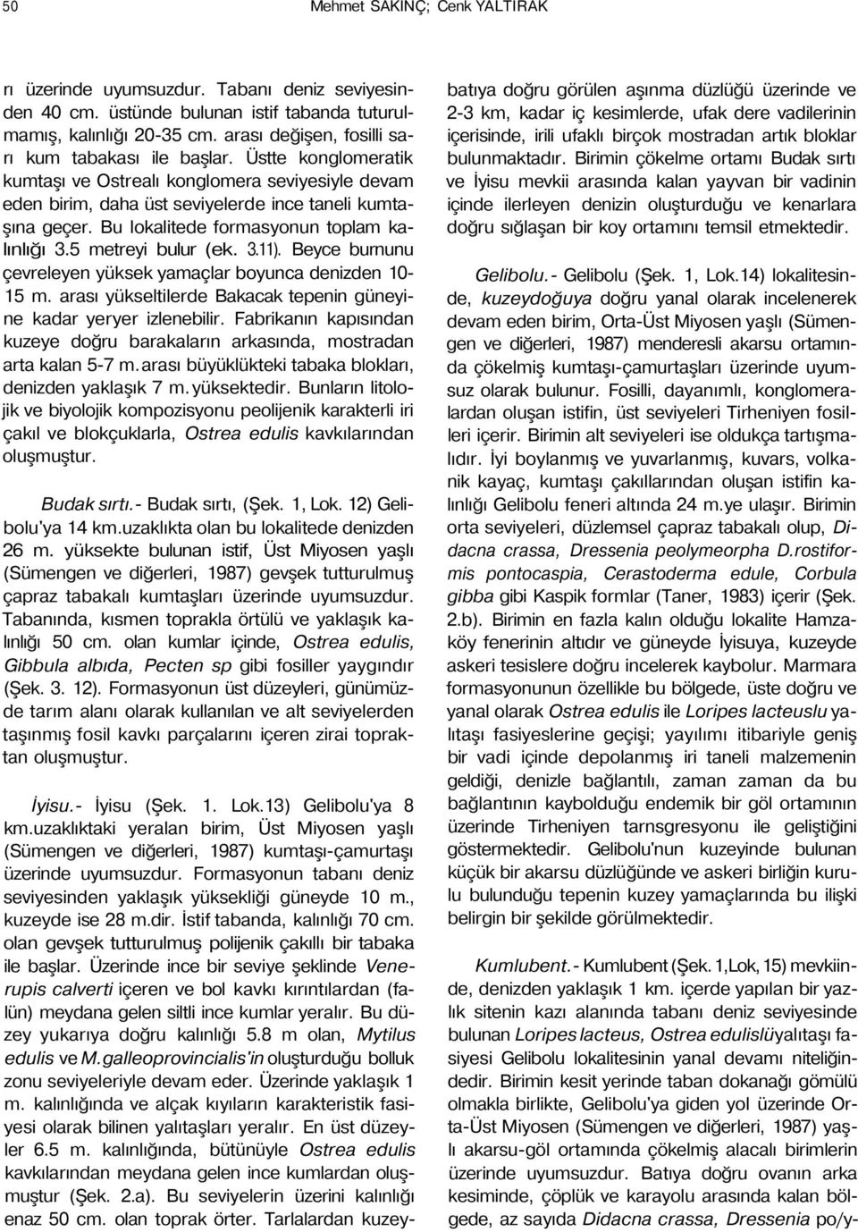 Bu lokalitede formasyonun toplam kalınlığı 3.5 metreyi bulur (ek. 3.11). Beyce burnunu çevreleyen yüksek yamaçlar boyunca denizden 10-15 m.