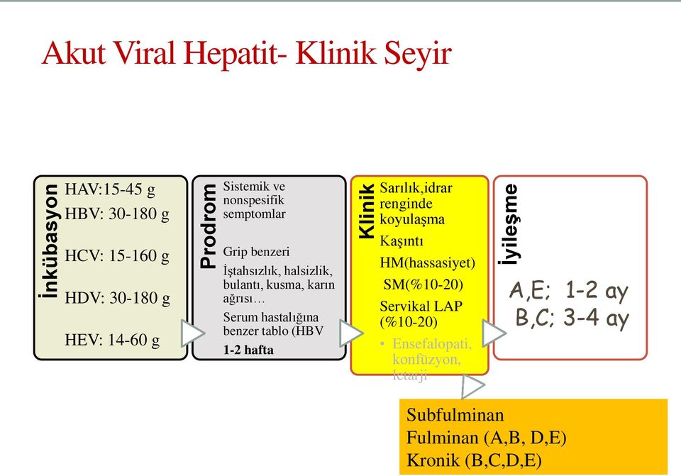 halsizlik, bulantı, kusma, karın ağrısı Serum hastalığına benzer tablo (HBV 1-2 hafta Kaşıntı HM(hassasiyet)