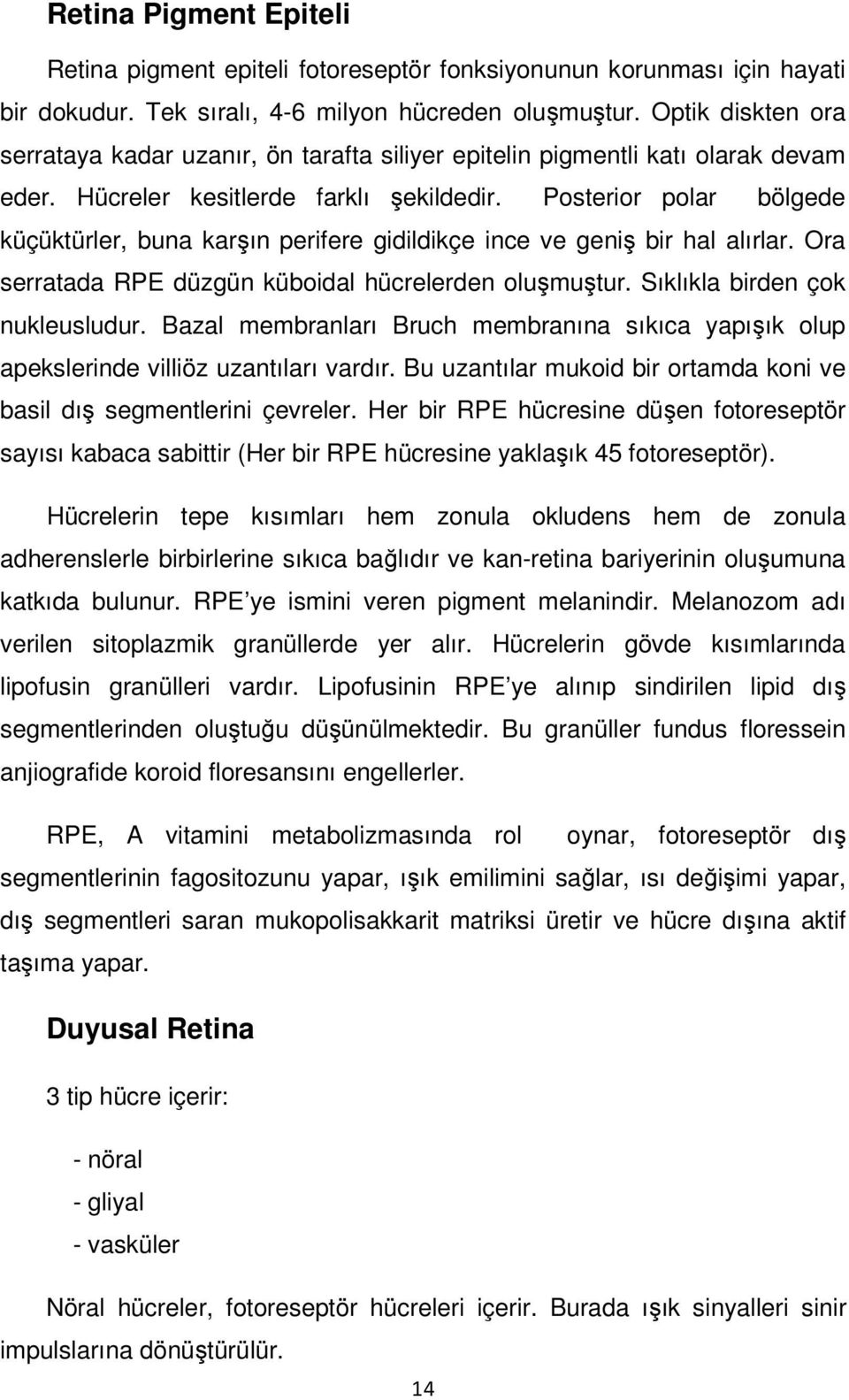 Posterior polar bölgede küçüktürler, buna karşın perifere gidildikçe ince ve geniş bir hal alırlar. Ora serratada RPE düzgün küboidal hücrelerden oluşmuştur. Sıklıkla birden çok nukleusludur.