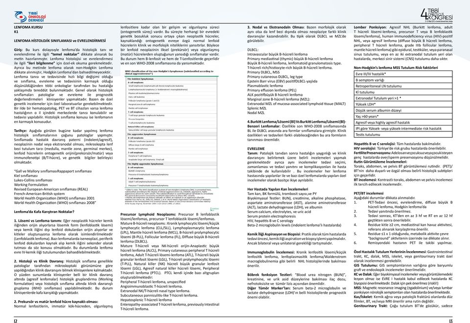 Ayrıca bu metinde lenfoma olarak non-hodgkin Lenfoma dikkate alınmıştır, Hodgkin Lenfoma dan bahsedilmeyecektir.