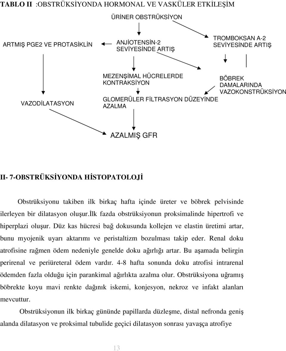 ve böbrek pelvisinde ilerleyen bir dilatasyon oluşur.ilk fazda obstrüksiyonun proksimalinde hipertrofi ve hiperplazi oluşur.