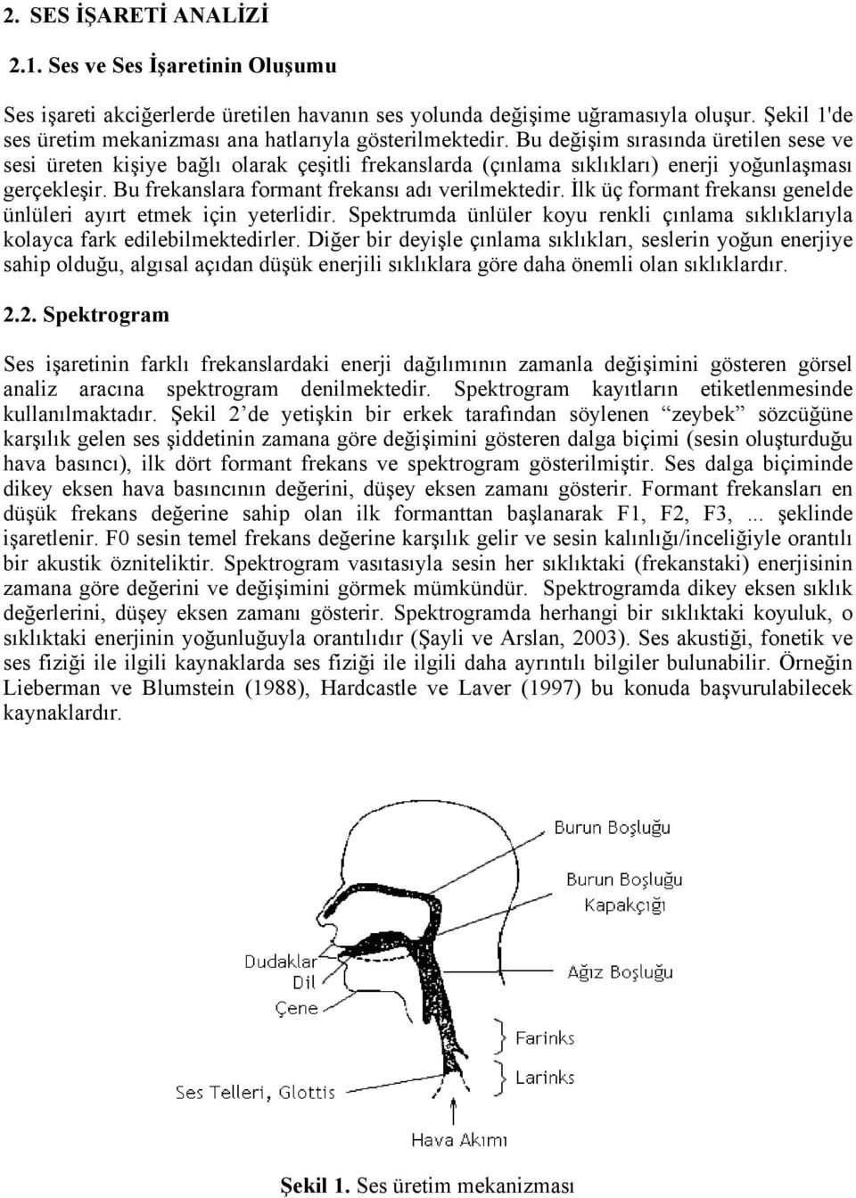 Bu değişim sırasında üretilen sese ve sesi üreten kişiye bağlı olarak çeşitli frekanslarda (çınlama sıklıkları) enerji yoğunlaşması gerçekleşir. Bu frekanslara formant frekansı adı verilmektedir.