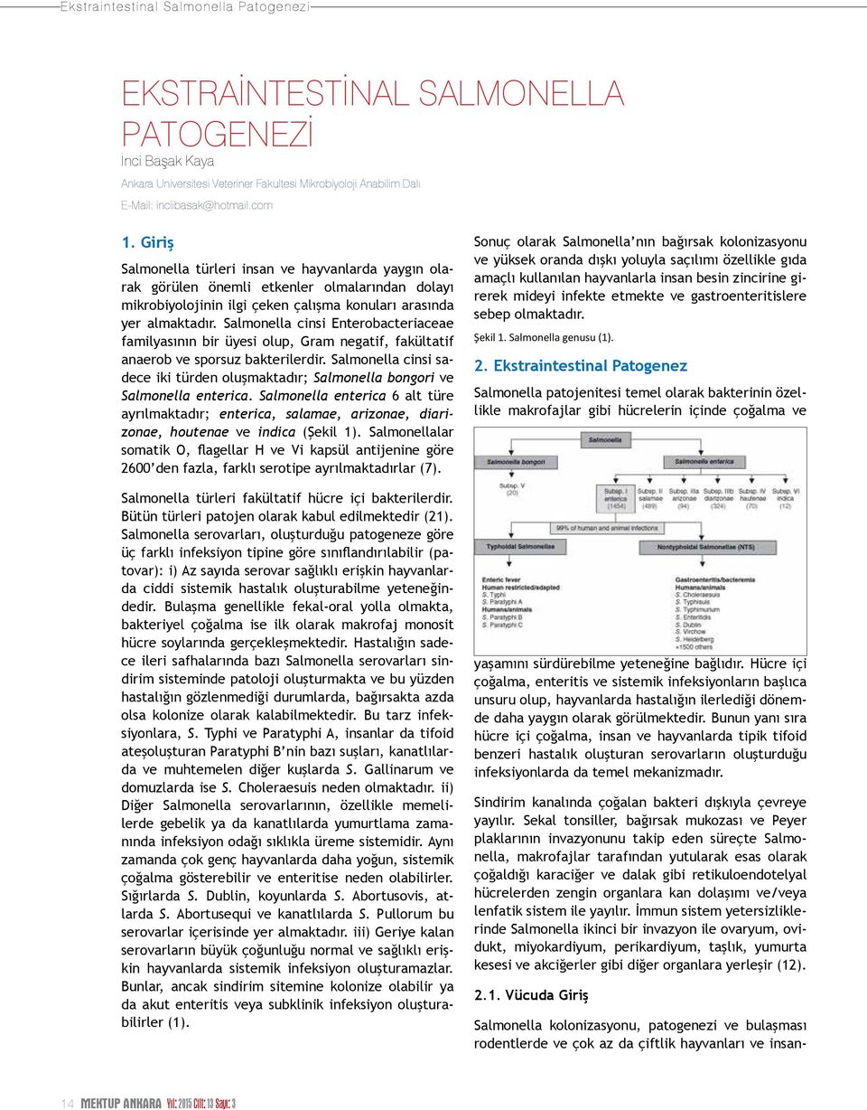 Salmonella cinsi Enterobacteriaceae familyasının bir üyesi olup, Gram negatif, fakültatif anaerob ve sporsuz bakterilerdir.