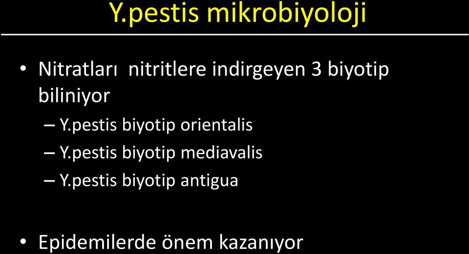 pestis biyotip orientalis Y.