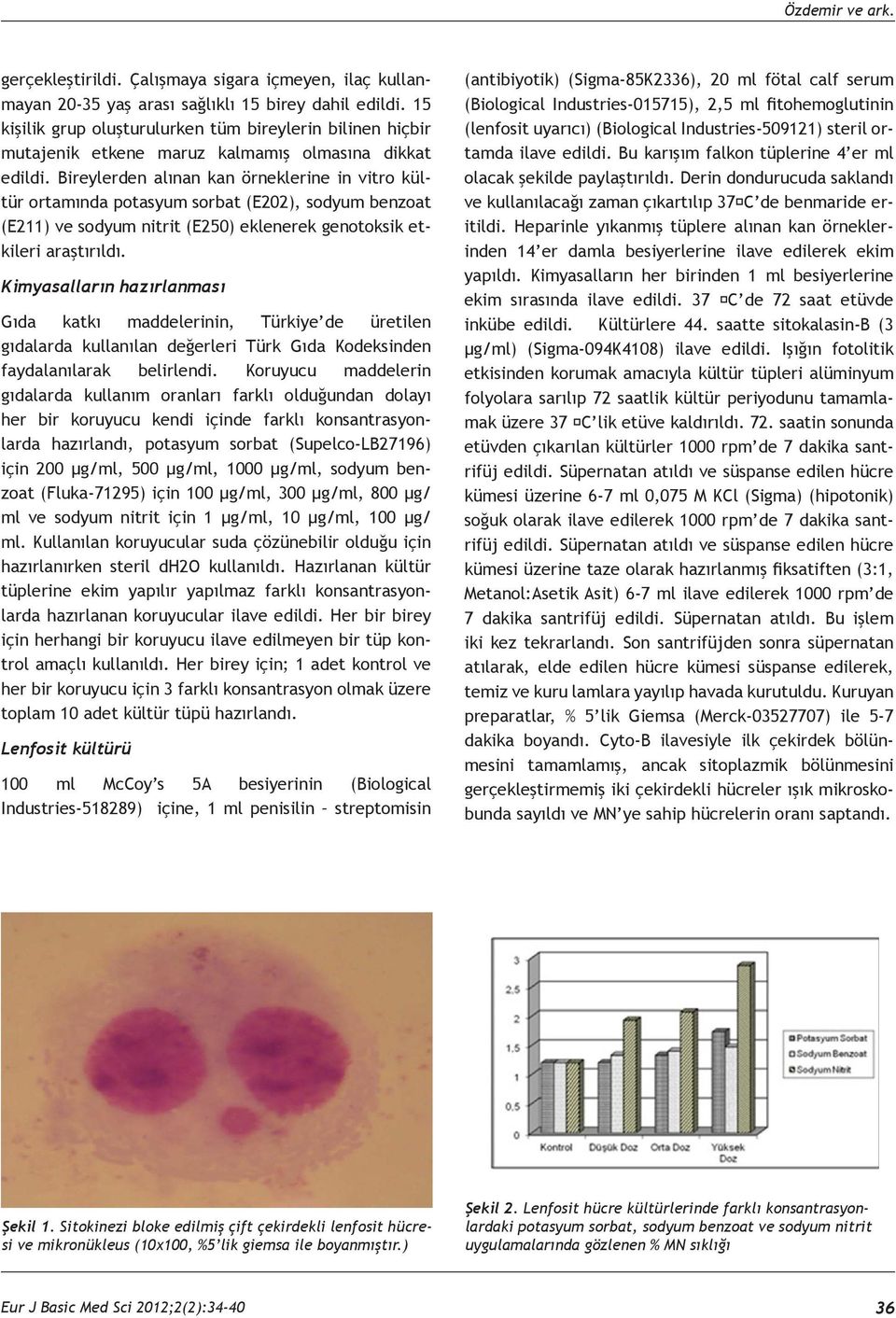 Bireylerden alınan kan örneklerine in vitro kültür ortamında potasyum sorbat (E202), sodyum benzoat (E211) ve sodyum nitrit (E250) eklenerek genotoksik etkileri araştırıldı.