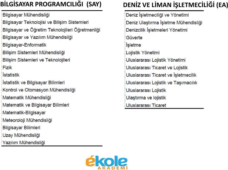 (SAY) DENİZ VE