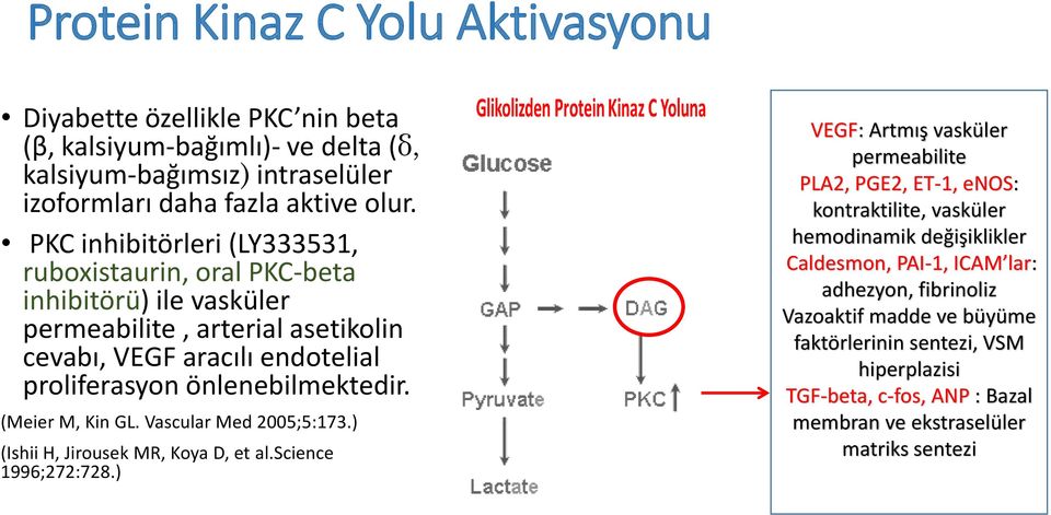 (Meier M, Kin GL. Vascular Med 2005;5:173.) (Ishii H, Jirousek MR, Koya D, et al.science 1996;272:728.