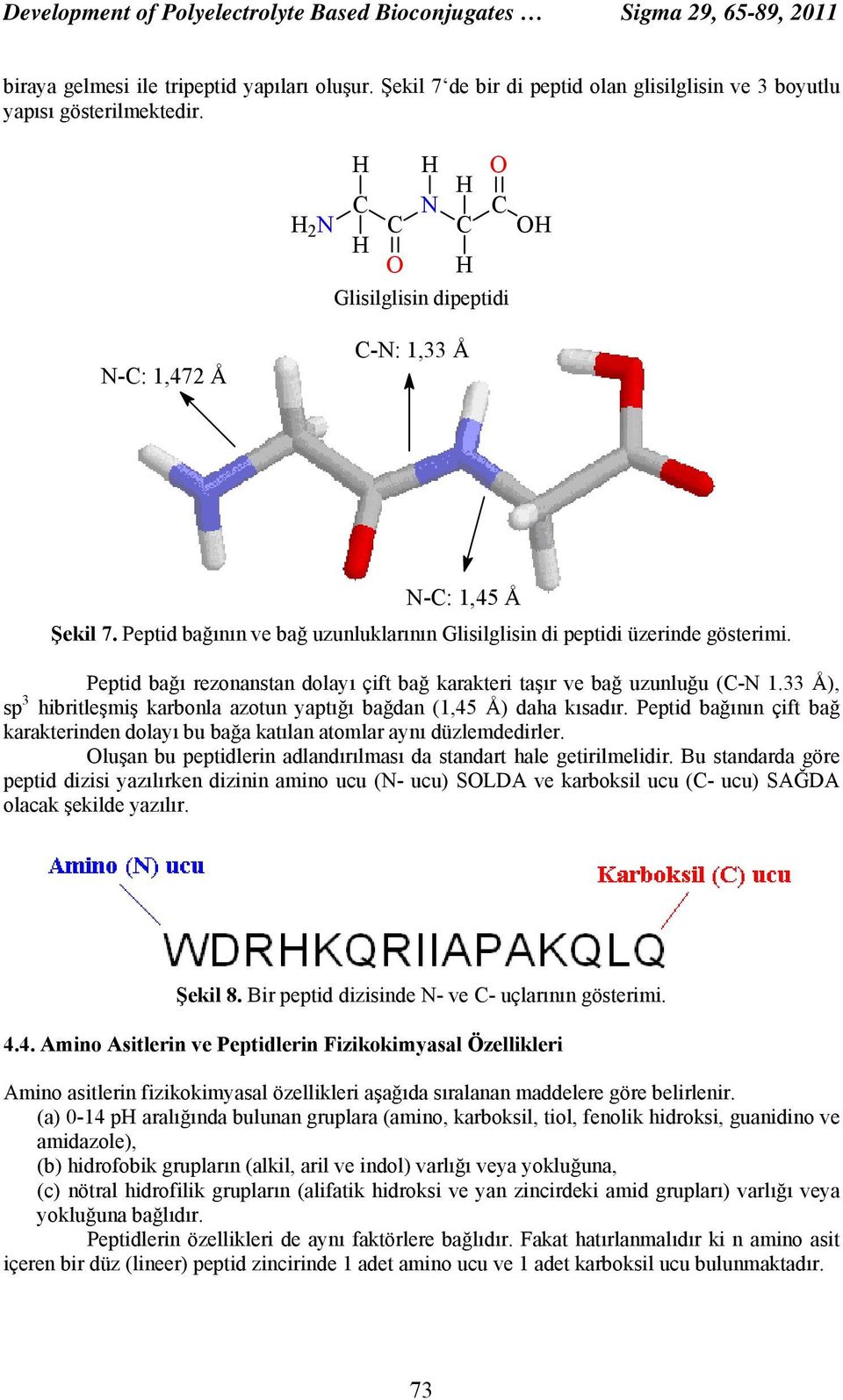 Peptid bağı rezonanstan dolayı çift bağ karakteri taşır ve bağ uzunluğu (C- 1.33 Å), sp 3 hibritleşmiş karbonla azotun yaptığı bağdan (1,45 Å) daha kısadır.