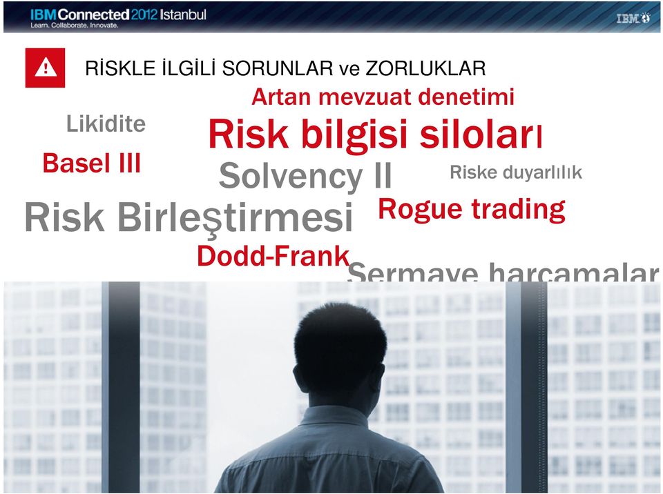 denetimi Risk bilgisi siloları Solvency II