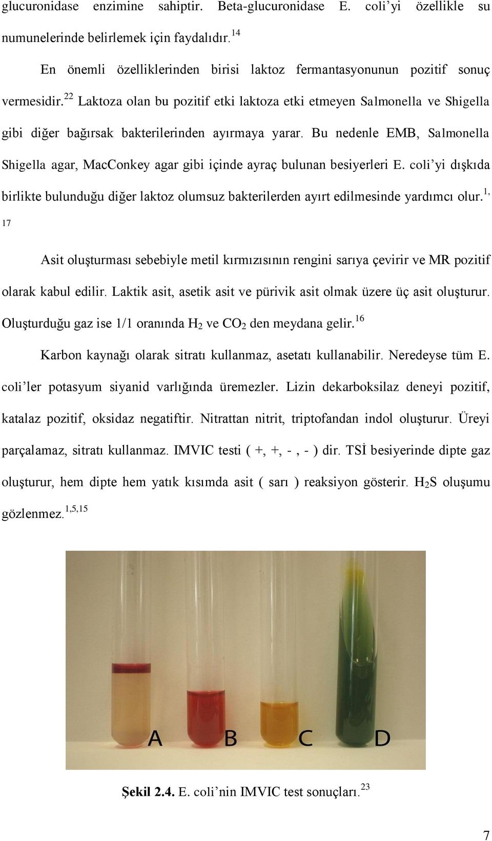 22 Laktoza olan bu pozitif etki laktoza etki etmeyen Salmonella ve Shigella gibi diğer bağırsak bakterilerinden ayırmaya yarar.