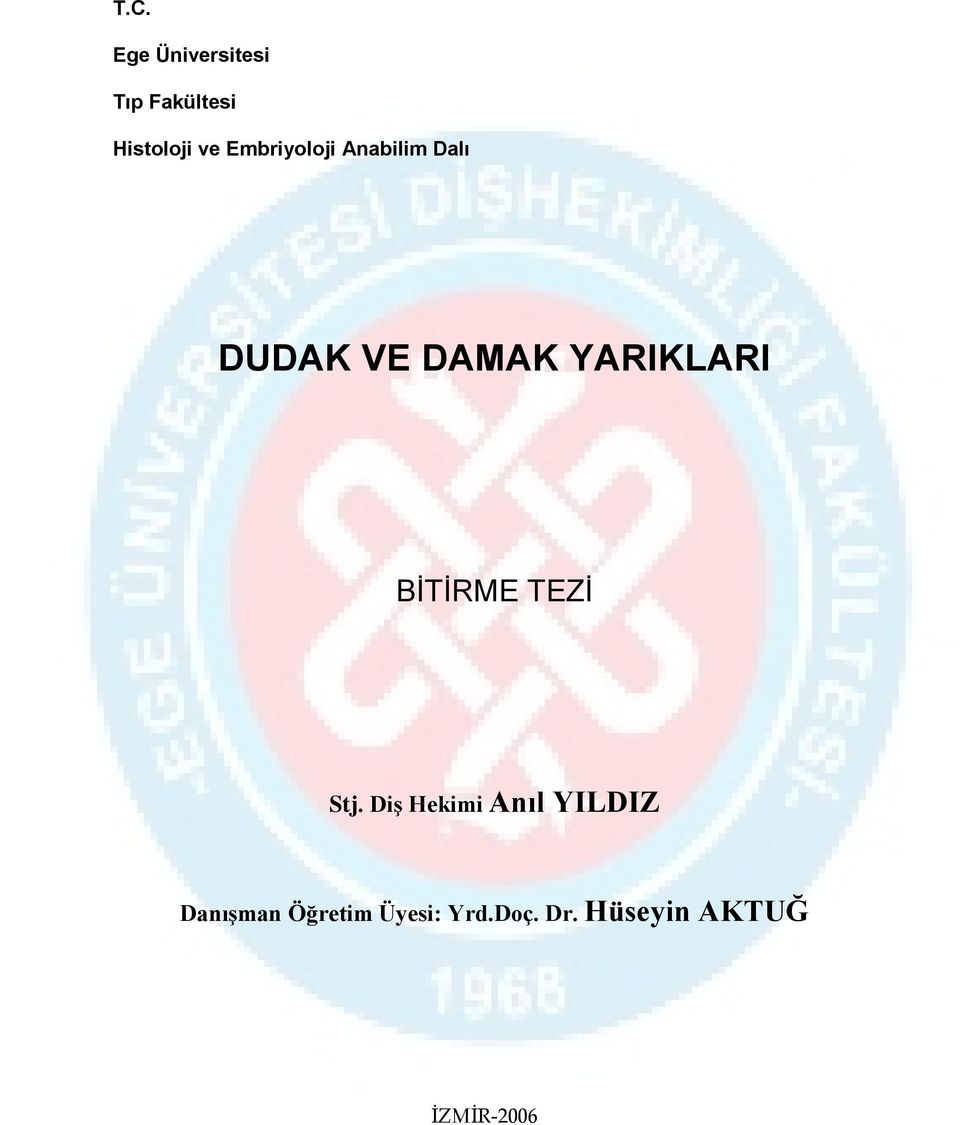 BİTİRME TEZİ Stj.