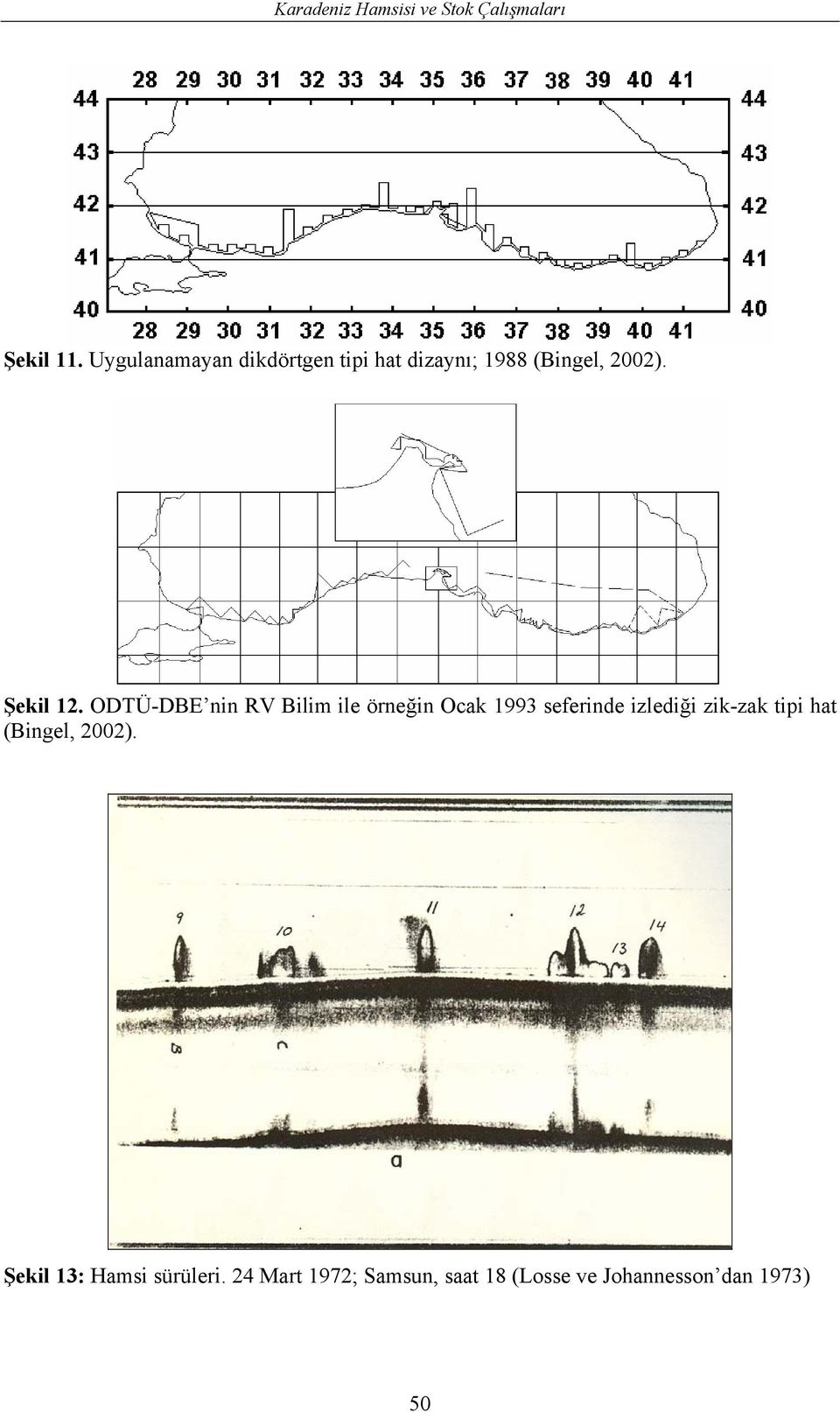 ODTÜ-DBE nin RV Bilim ile örneğin Ocak 1993 seferinde izlediği zik-zak tipi
