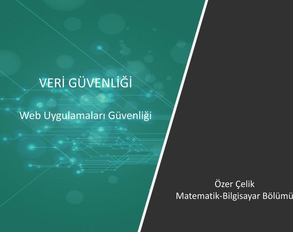 Güvenliği Özer