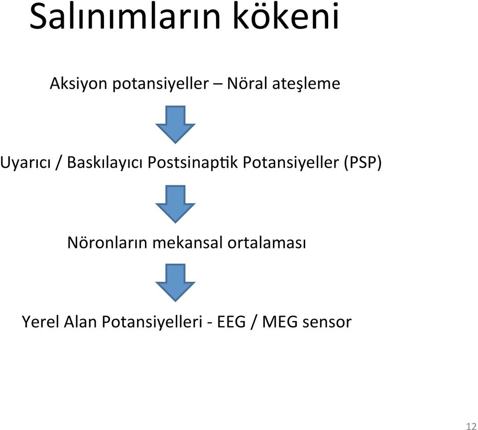 Potansiyeller (PSP) Nöronların mekansal