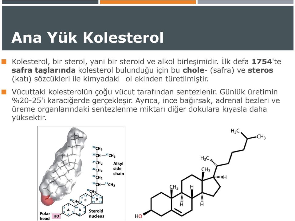 kimyadaki -ol ekinden türetilmiştir. Vücuttaki kolesterolün çoğu vücut tarafından sentezlenir.