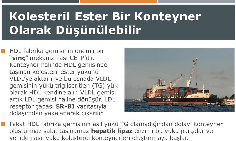 kendine alır. VLDL gemisi artık LDL gemisi haline dönüşür. LDL reseptör çapası SR-BI vasıtasıyla dolaşımdan yakalanarak çıkarılır.