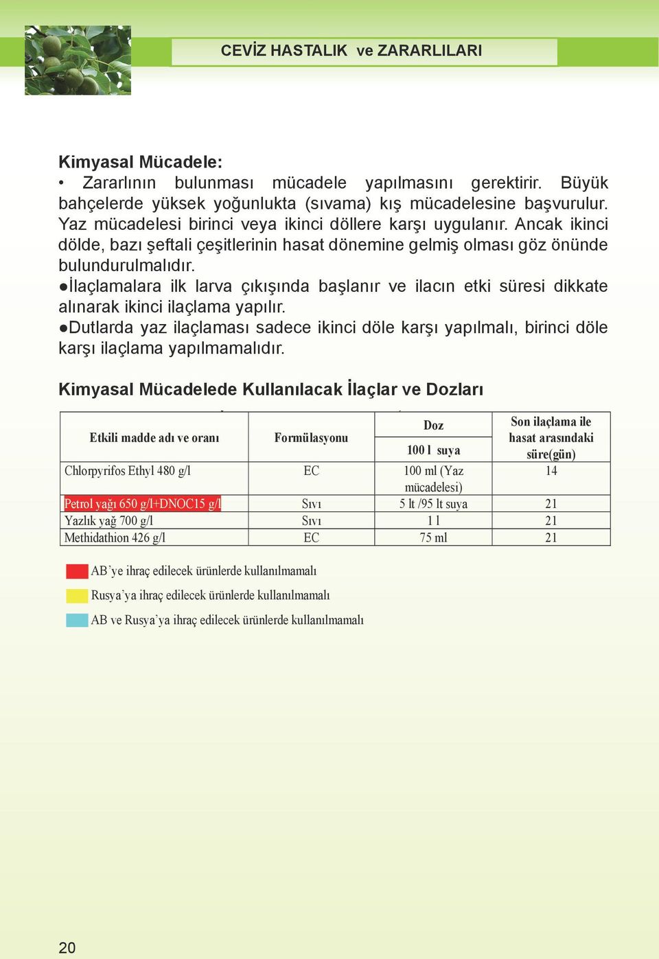 top akasya atkestanesi.