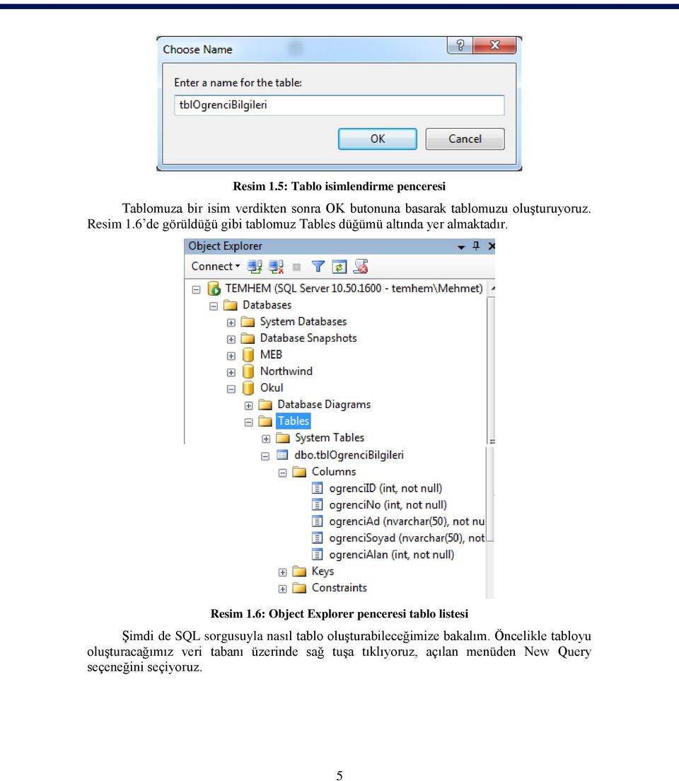 oluşturuyoruz. 6 de görüldüğü gibi tablomuz Tables düğümü altında yer almaktadır.