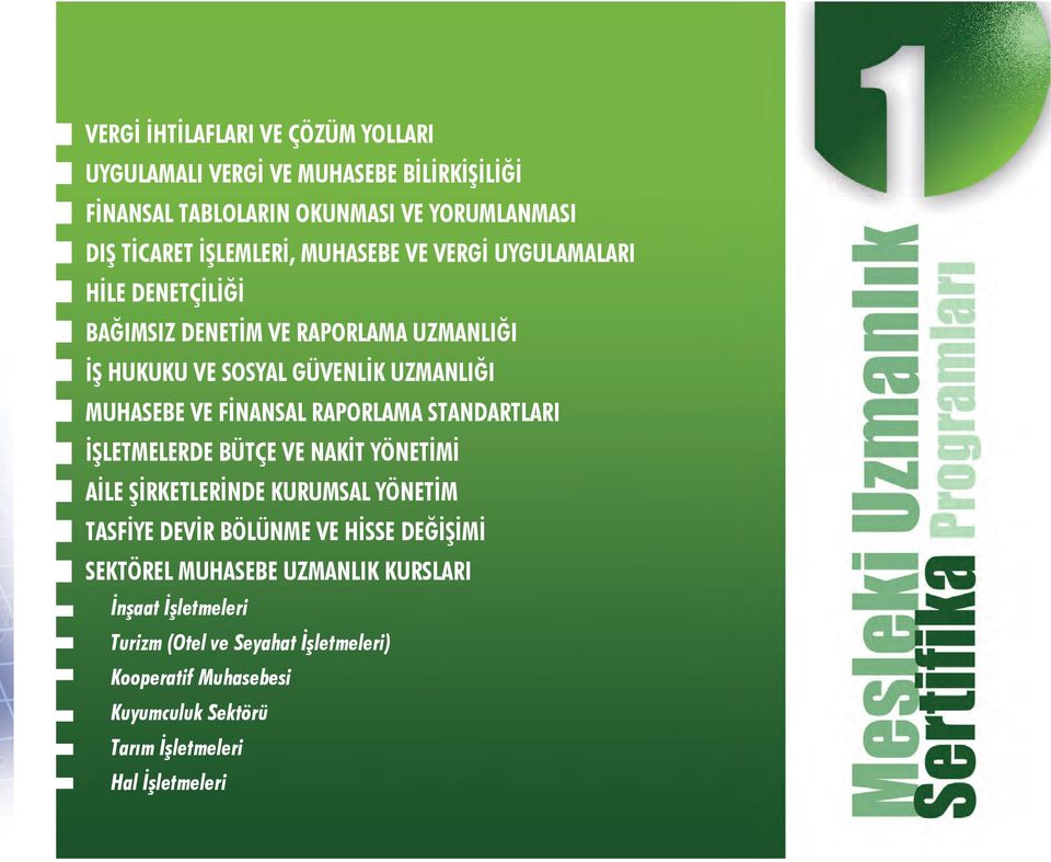 RAPORLAMA STANDARTLARI İŞLETMELERDE BÜTÇE VE NAKİT YÖNETİMİ AİLE ŞİRKETLERİNDE KURUMSAL YÖNETİM TASFİYE DEVİR BÖLÜNME VE HİSSE DEĞİŞİMİ SEKTÖREL