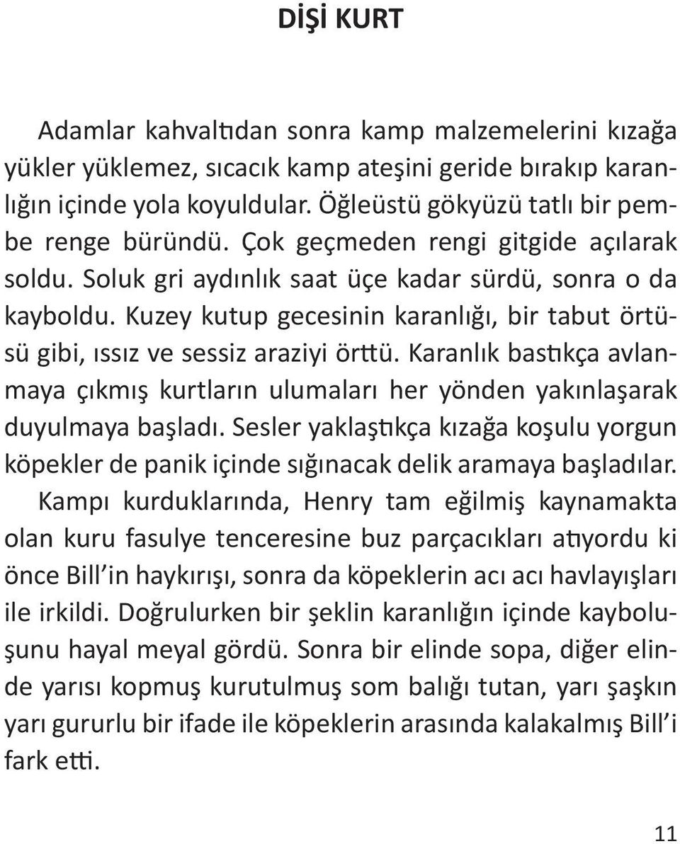 Karanlık bastıkça avlanmaya çıkmış kurtların ulumaları her yönden yakınlaşarak duyulmaya başladı. Sesler yaklaştıkça kızağa koşulu yorgun köpekler de panik içinde sığınacak delik aramaya başladılar.