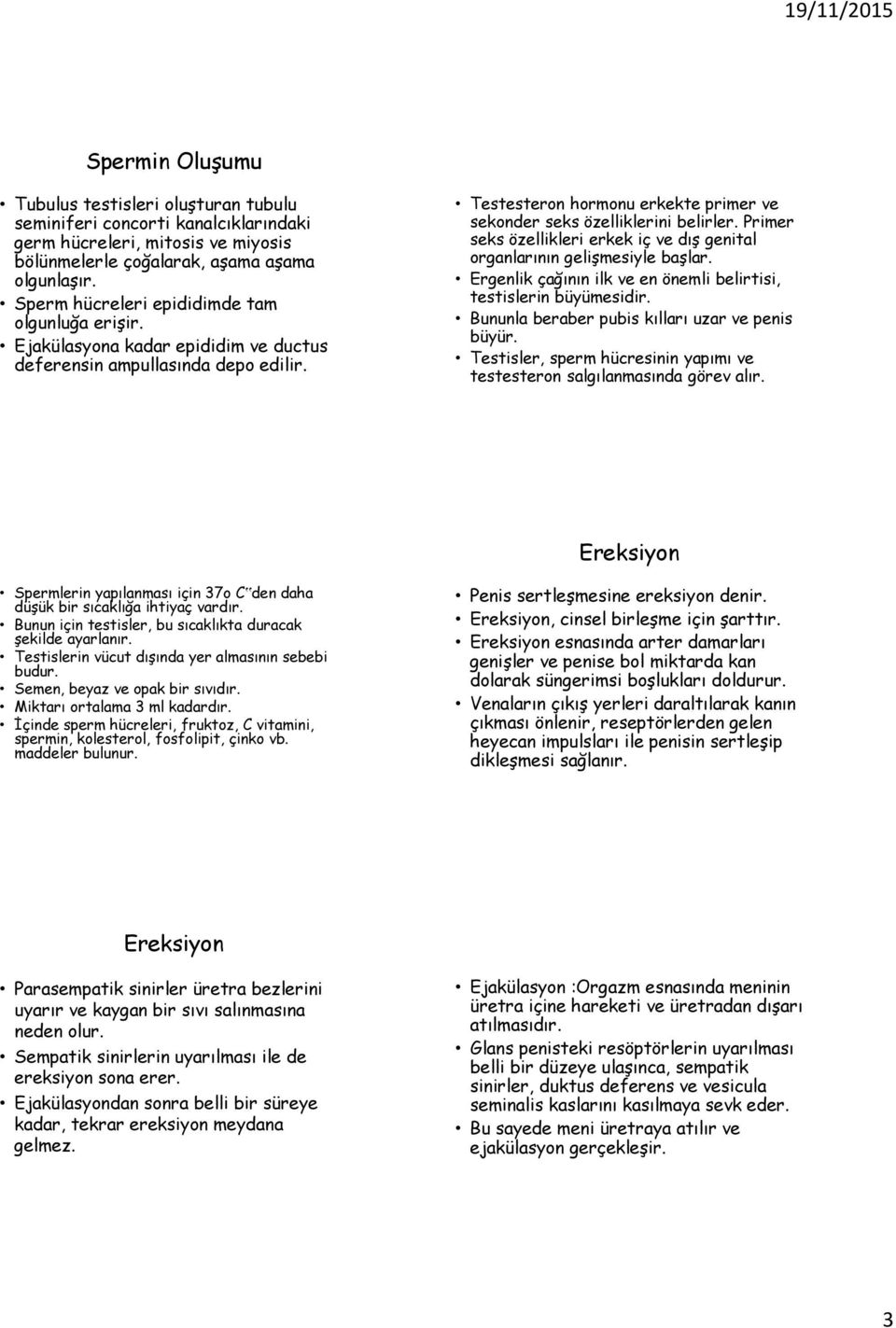 Primer seks özellikleri erkek iç ve dış genital organlarının gelişmesiyle başlar. Ergenlik çağının ilk ve en önemli belirtisi, testislerin büyümesidir.