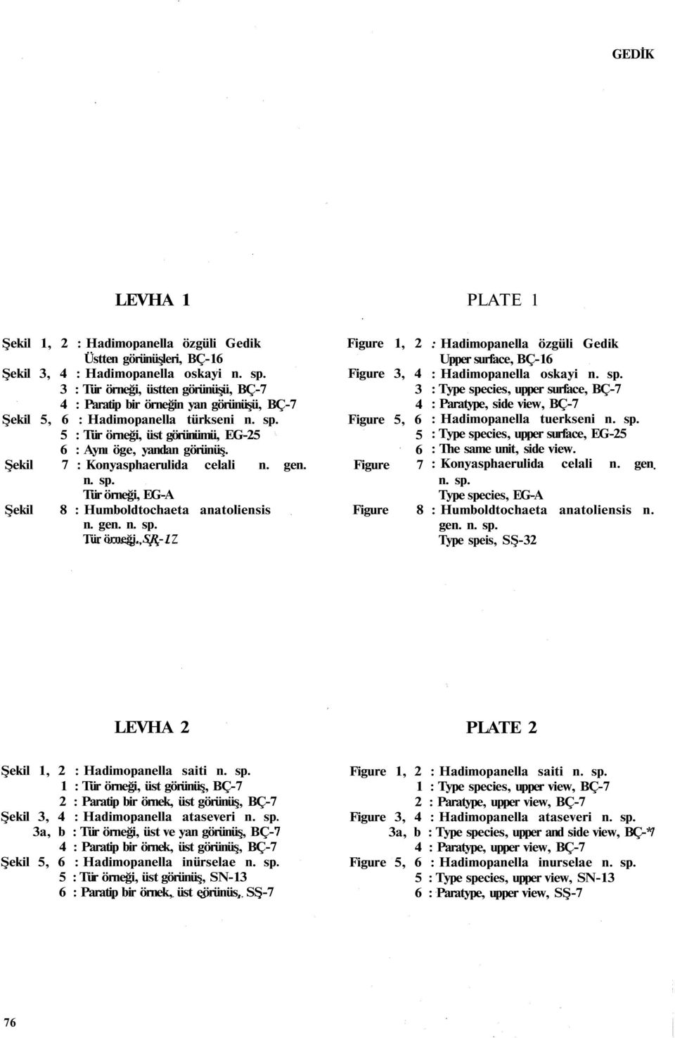 Figure 5, 6 5 : Tür örneği, üst görünümü, EG-25 5 6 : Aynı öge, yandan görünüş. 6 Şekil 7 : Konyasphaerulida celali n. gen. Figure 7 n. sp.