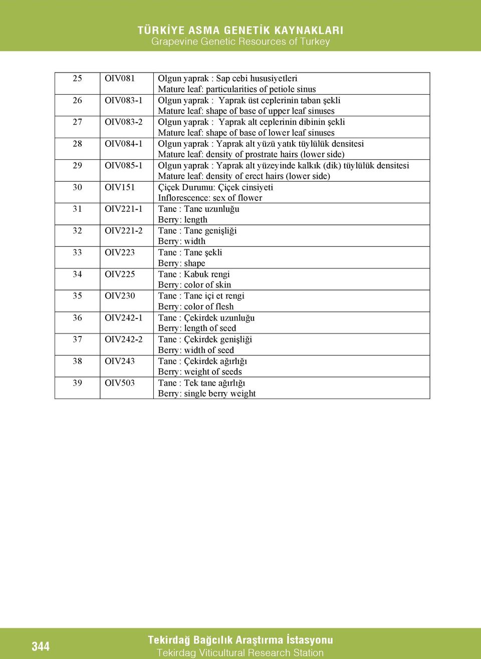 density of prostrate hairs (lower side) 29 OIV085-1 Olgun yaprak : Yaprak alt yüzeyinde kalkık (dik) tüylülük densitesi Mature leaf: density of erect hairs (lower side) 30 OIV151 Çiçek Durumu: Çiçek