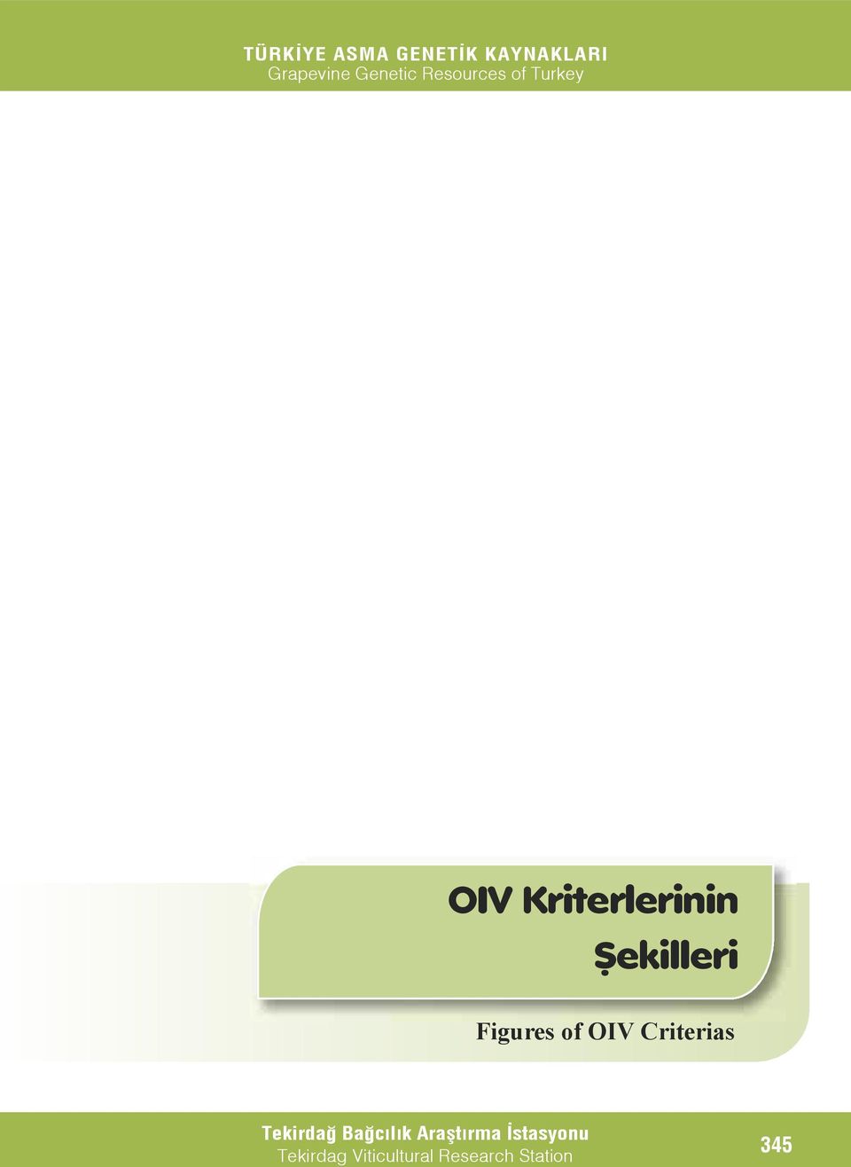 Şekilleri